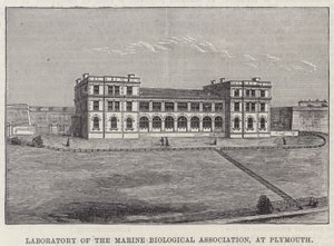 Laboratorium van de Marine Biological Association, in Plymouth door English School
