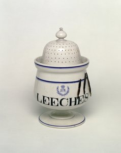 Bloedzuigerpot door English School