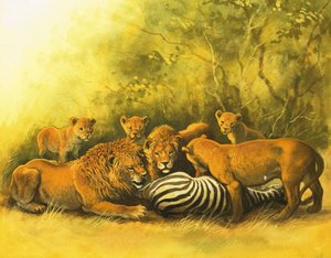 Leeuwen die zich voeden met een zebrakarkas