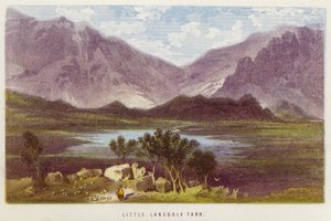 Little Langdale Tarn door English School