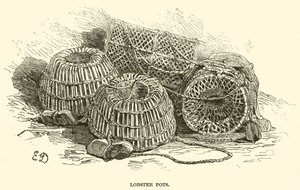 Kreeftenpotten