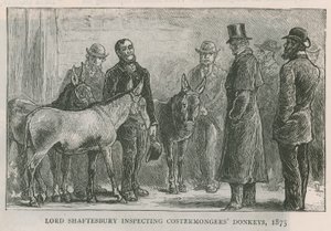 Lord Shaftesbury inspecteert de ezels van de straatverkopers door English School
