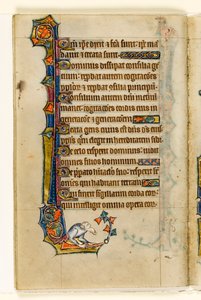 MS 1-2005, fol. 47v: Een grotesk, marginaal decor uit de Macclesfield Psalter, Gebruik van Sarum, Oost-Anglia, c.1330 door English School