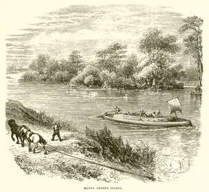 Magna Carta eiland