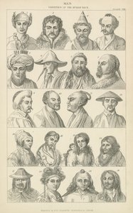 Mens. Variëteiten van het menselijk ras (gravure) door English School