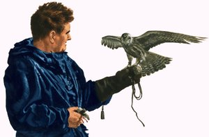Man met een roofvogel