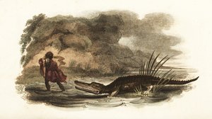 Man redt zijn vrouw uit de kaken van een krokodil in een rivier, Filipijnen