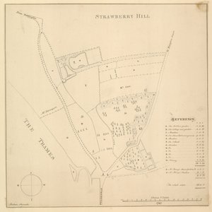 Kaart van Strawberry Hill, Londen