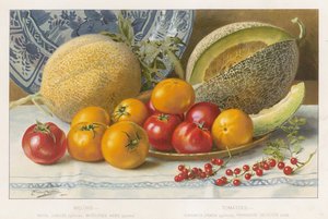 Meloenen en tomaten door English School