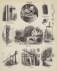Molenaar (gravure)