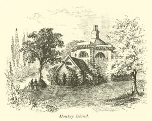 Apen Eiland