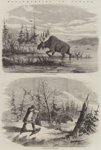 Elandenjacht in Canada door English School