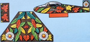Mouse Airways door English School