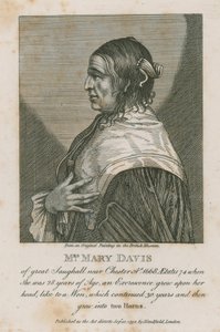 Mevrouw Mary Davis van Great Saughall bij Chester, 1668 door English School