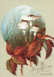 Paddenstoelen en Bladeren, Kerstkaart