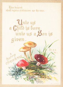 Paddenstoelen, kerstkaart