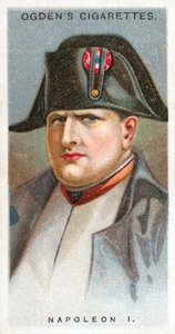 Napoleon I door English School