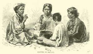 Inboorlingen van Hawaï door English School