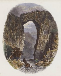 Natuurlijke Bruggen door English School