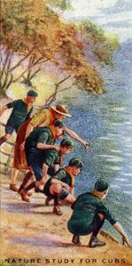 Natuurstudie voor Cubs, 1929