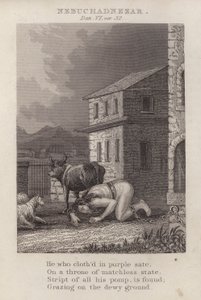 Nebukadnezar, Daniël VI, vers 32