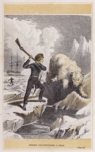 Nelson ontmoet een beer (gekleurde gravure) door English School
