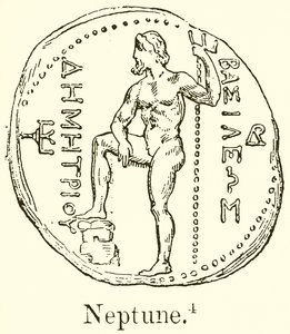 Neptunus