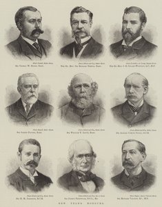Nieuwjaarsonderscheidingen (gravure)