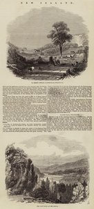 Nieuw-Zeeland (gravure)