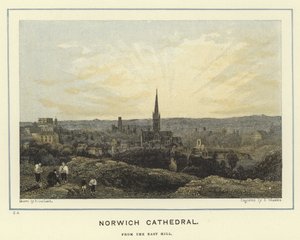 Norwich Kathedraal, vanaf de East Hill door English School