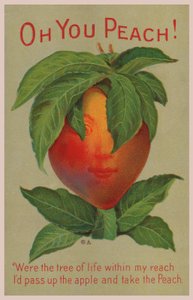 O jij perzik! (kleur litho)