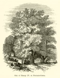 Eik van Hendrik IV, in Fontainebleau (gravure)