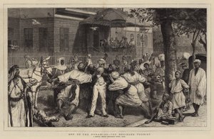Op weg naar de Piramides, de Belegerde Toerist door English School