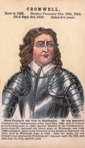 Oliver Cromwell, Beschermer