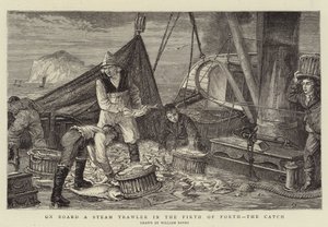 Aan boord van een stoomtrawler in de Firth of Forth, de vangst door English School