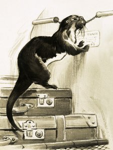 Otter stopt de trein