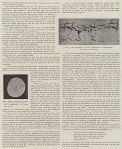 Onze Nabije Buur, Mars