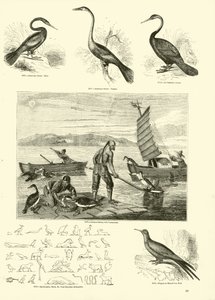 Pagina uit Het Picturale Museum van Geanimeerde Natuur
