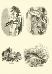 Pagina uit Het Picturale Museum van Geanimeerde Natuur