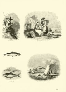 Pagina uit Het Picturale Museum van Geanimeerde Natuur door English School
