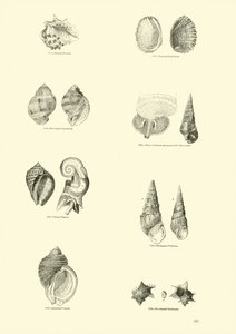 Pagina uit Het Picturale Museum van Geanimeerde Natuur