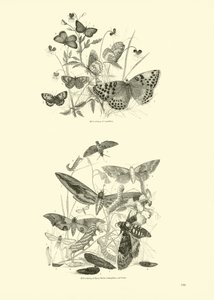 Pagina uit Het Picturale Museum van Geanimeerde Natuur