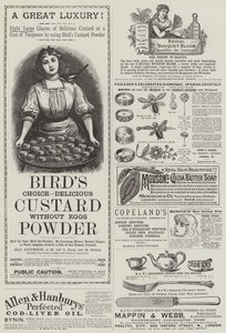 Pagina met Advertenties (gravure)