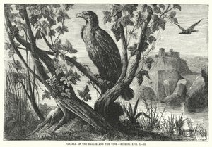 Parabel van de Adelaars en de Wijnstok, Ezechiël XVII door English School