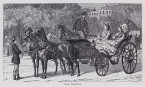 Park Phaeton