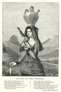 Boer uit de Pyreneeën (gravure) door English School