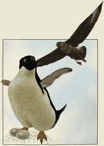 Pinguïn met eieren, met een andere vogel die erboven zweeft door English School
