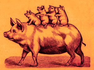 Varken met biggen, illustratie uit Coles Funny Picture Book door English School