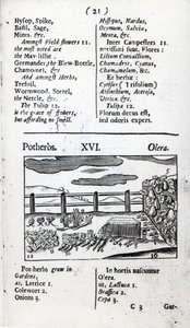 Plantenverzorging uit 
