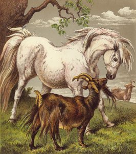 Pony en Geiten door English School